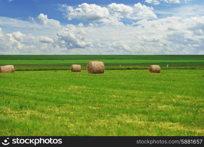 Harvesting hay. summer field of hay bales