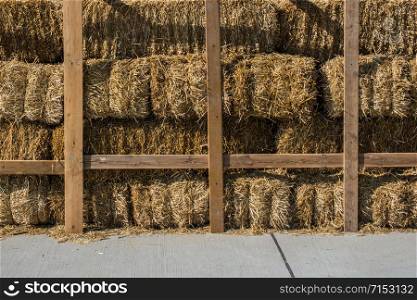 Harvesting in agriculture bales of hay are stacked in large stacks