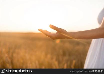 harvesting, nature, agriculture and prosperity concept - hand of young woman on cereal field. hand of young woman on cereal field