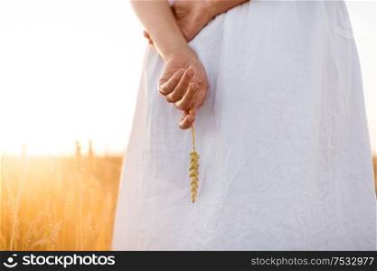 harvesting, nature, agriculture and prosperity concept - young woman in white dress on cereal field holding ripe wheat spickelet in her hand. woman on cereal field holding ripe wheat spickelet