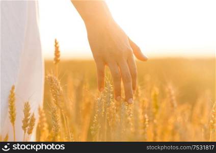 harvesting, nature, agriculture and prosperity concept - young woman on cereal field touching ripe wheat spickelets by her hand. hand touching wheat spickelets on cereal field