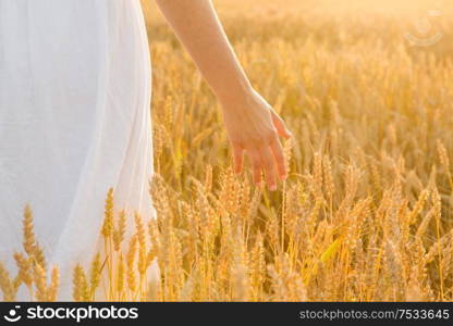 harvesting, nature, agriculture and prosperity concept - young woman on cereal field touching ripe wheat spickelets by her hand. hand touching wheat spickelets on cereal field