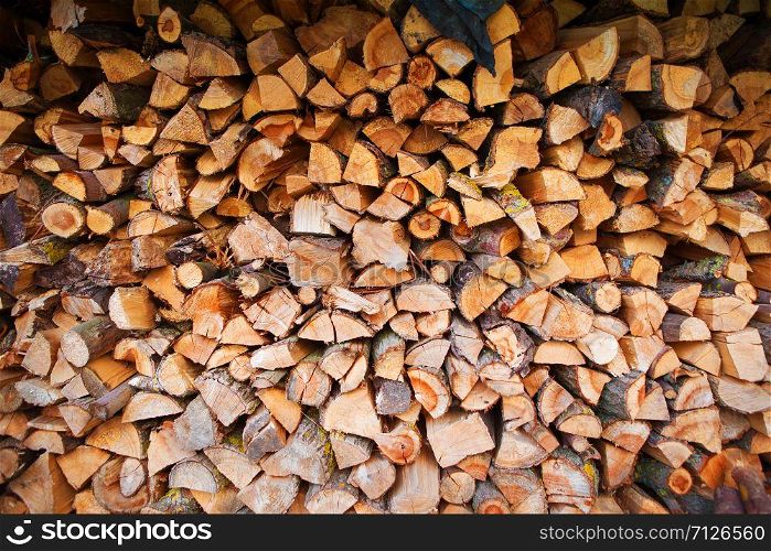 harvesting of firewood in the open air, countryside.. harvesting of firewood in the open air, countryside