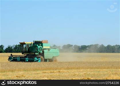 Harvesting. The combine reaps a crop of wheat in filed