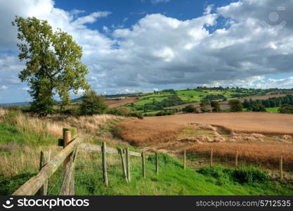 Harvesting the crops on Meon Hill near Chipping Campden, Gloucestershire, England.