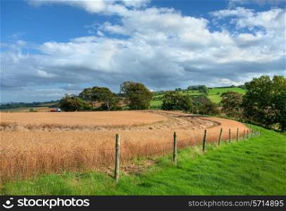 Harvesting the crops on Meon Hill near Chipping Campden, Gloucestershire, England.