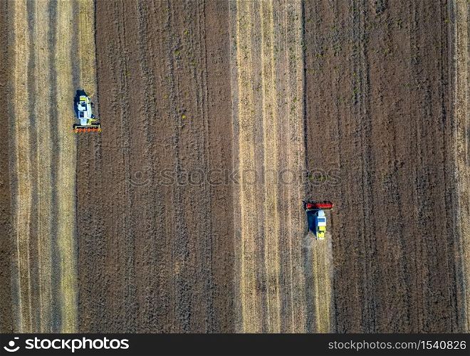Harvesting time. Agricultural industry. Aerial view of combine harvester in field. Top view