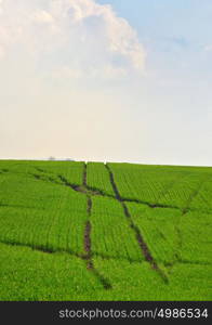 Hashtag sign on field from trails