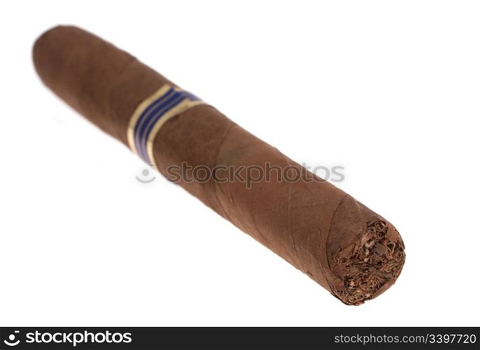 Havana cigar isolated on white