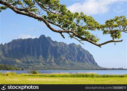 Hawaii island