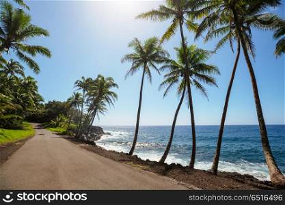 Hawaii. Picturesque view of Hawaii island