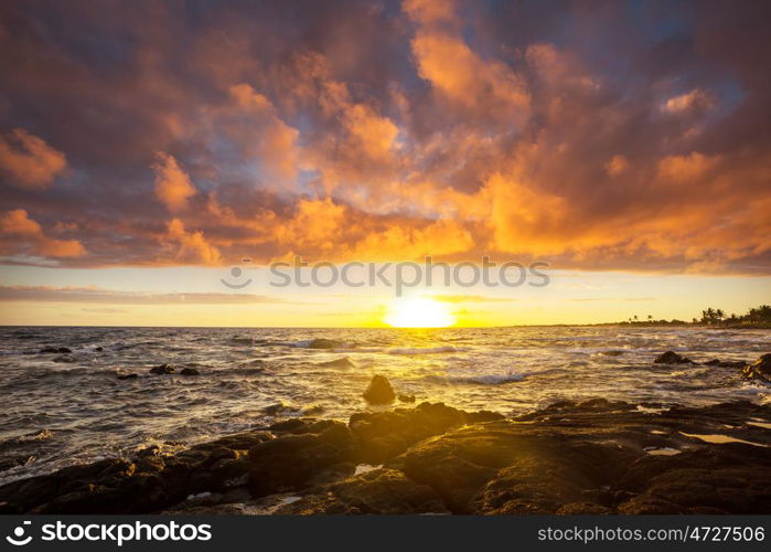 Hawaiian beach. Amazing hawaiian beach