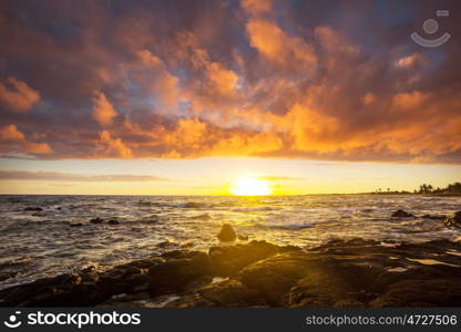 Hawaiian beach. Amazing hawaiian beach