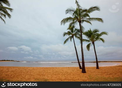 Hawaiian beach. Amazing hawaiian beach