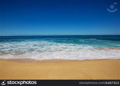 Hawaiian beach. Amazing hawaiian beach