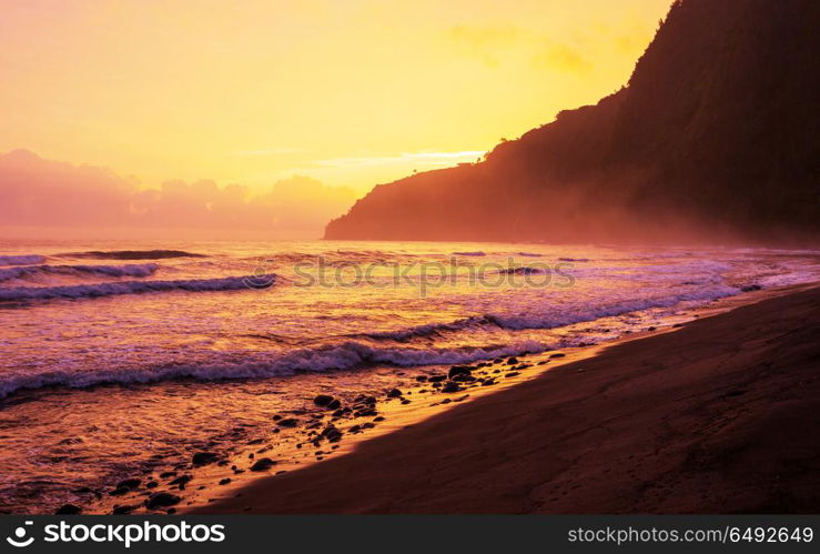 Hawaiian beach. Amazing hawaiian beach