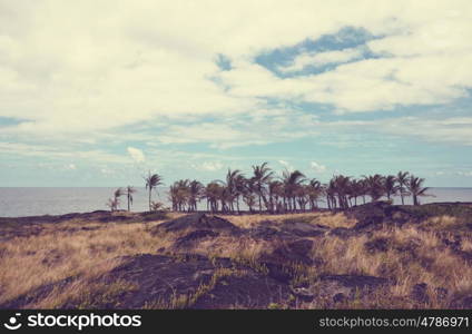 Hawaiian coast