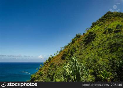 Hawaiian typical strong green vegetation over deep blue sea, US. Green abrupt hill in front of the big blue sea in Hawaii, US