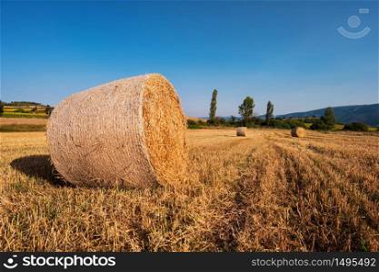 hay bail harvesting in golden field landscape