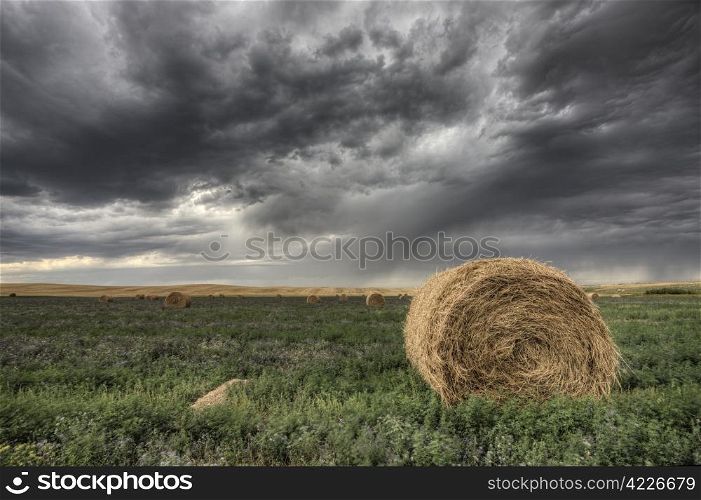 Hay Bale and Prairie Storm Alfalfa field