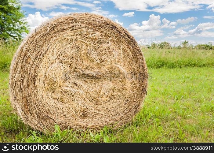 Hay bale in the field to dry in the sun.