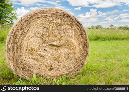 Hay bale in the field to dry in the sun.