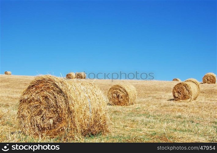 hay bale in the straw in rural field
