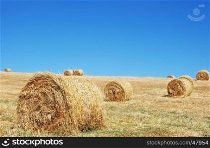 hay bale in the straw in rural field
