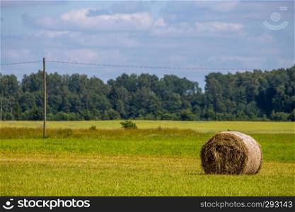 Hay bale lying on the green meadow, on forest and  blue sky background.  Hay bales on the field after harvest in morning. Freshly rolled hay bales on field in Latvia. 