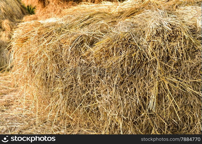 Hay bale on the ground