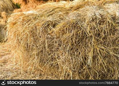 Hay bale on the ground