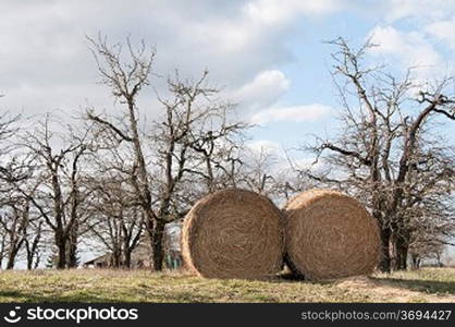 Hay Bales