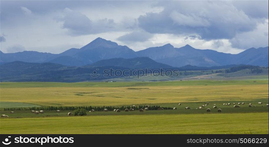 Hay bales at farm with mountains in background, Pincher Creek, Southern Alberta, Alberta, Canada