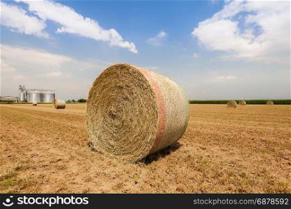 Hay bales dry in the field. On the background agricultural silos for cereals. Blue sky with clouds. Agricultural landscape.