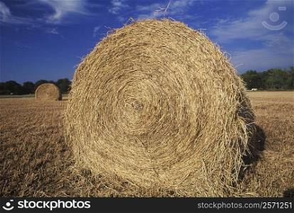Hay bales in a field, Texas, USA