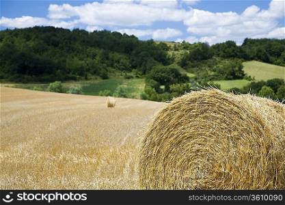 Hay bales in field