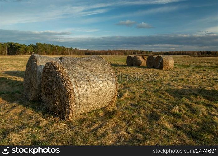 Hay bales in the meadow and cloudy sky, Czulczyce, Poland