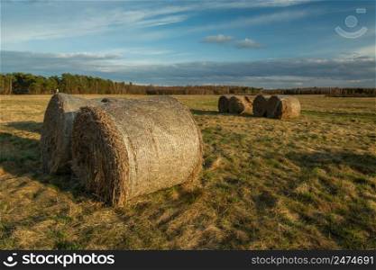 Hay bales in the meadow and cloudy sky, Czulczyce, Poland