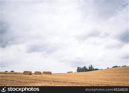Hay bales on a dry field after harvest