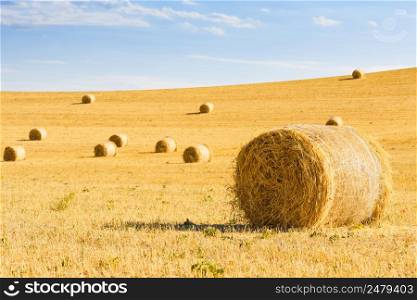 Hay bales on rural agriculture field after harvest