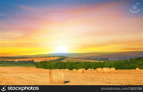 Hay bales on the golden agriculture field. Agricultural landscape.