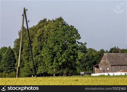 Hay bales on the green meadow at the barn. Hay bales on the field near the barn in Latvia. Electricity pole near the shed. Summer landscape with cereal field, trees and barn. Barn at the edge of the field. Classic rural landscape in Latvia.