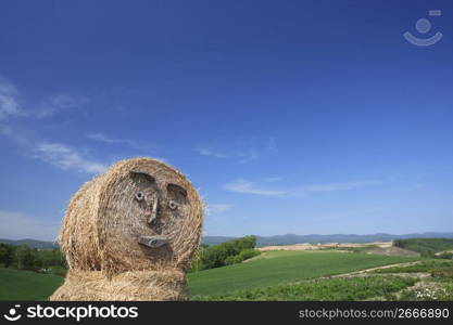 hay barrell with face