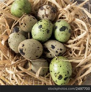 hay easter quail eggs