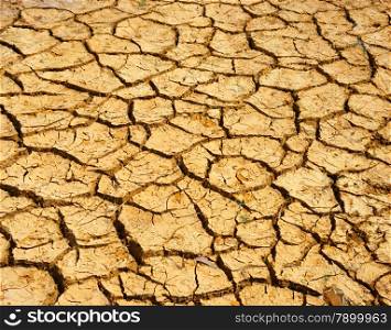 Hay on drought land, amazing arid and cracked ground, climate change made agriculture plantation have to reduct, in summer it very hot, warming is global problem, cause by greenhouse effect