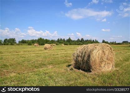 hay on field