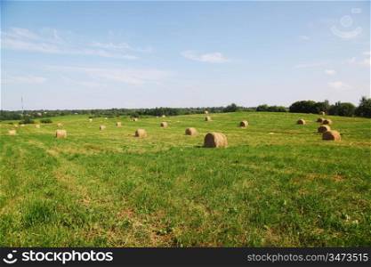hay on field under blue sky