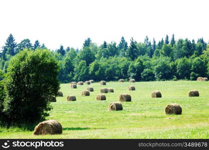 hay on field under blue sky