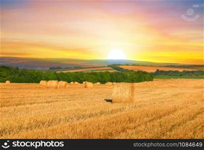 Hay-roll on meadow against sunset background.