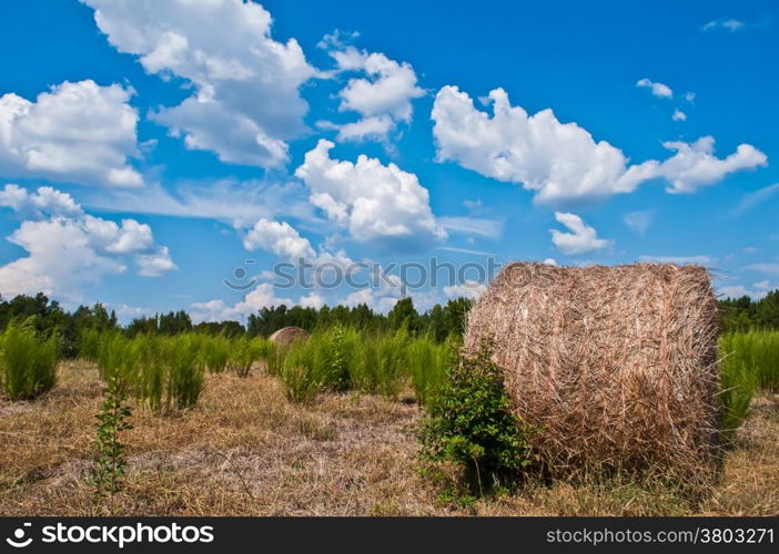 hay-roll on meadow against sunset background